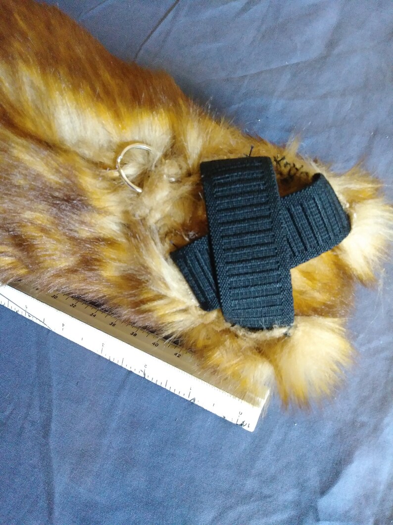 Ruddy fox Fox tail
