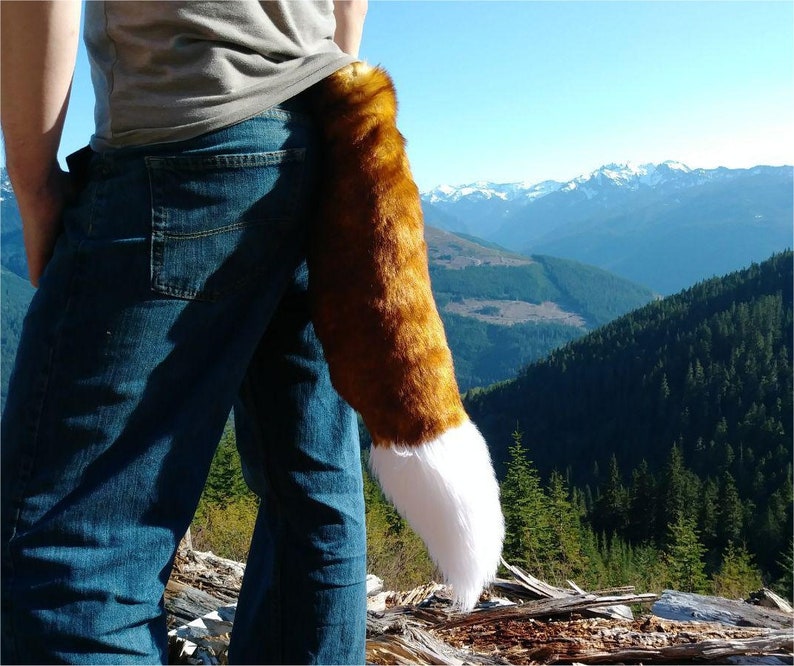 Ruddy fox Fox tail