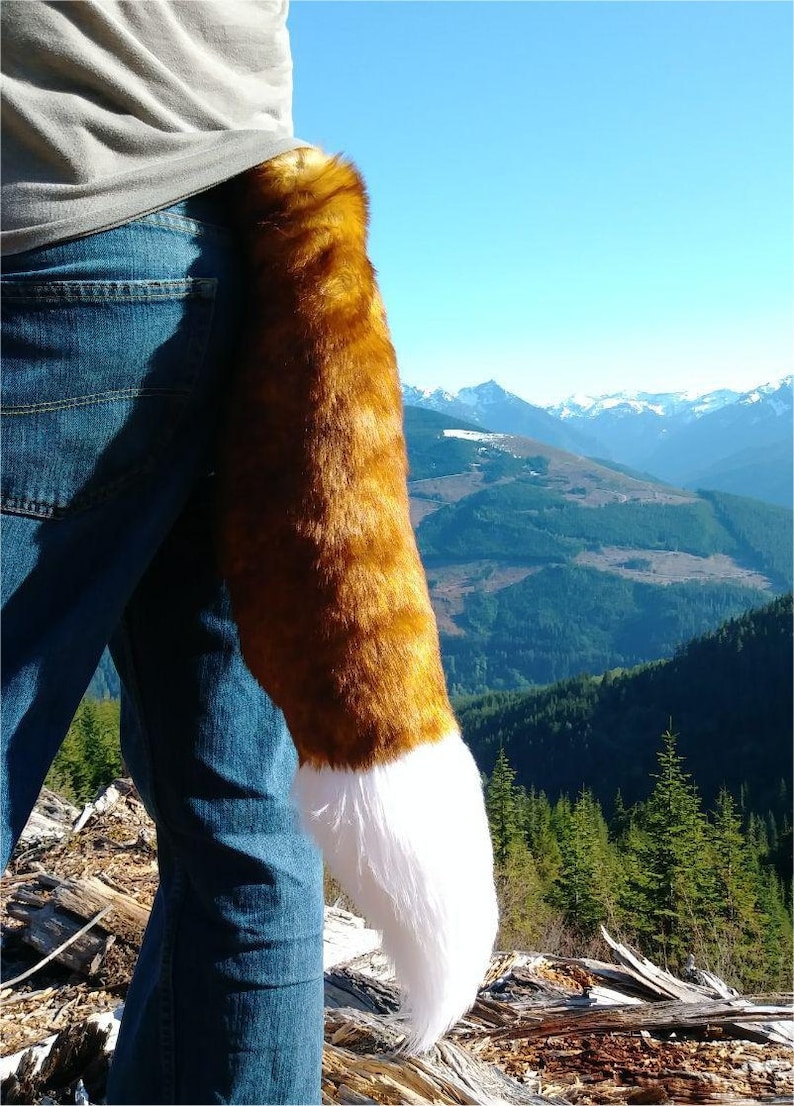 Ruddy fox Fox tail