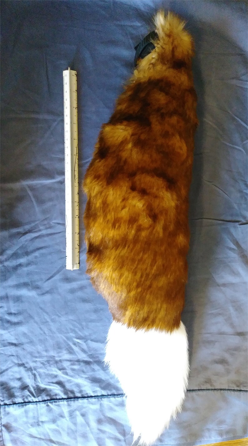 Ruddy fox Fox tail