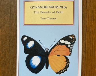 Gynandromorphs: The Beauty of Both
