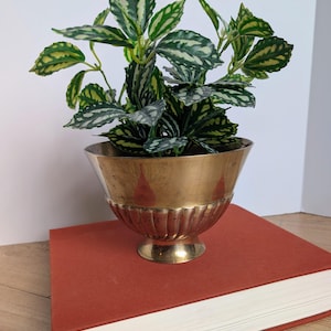 Peut inclure: Un bol en laiton métallique avec un bord évasé et une base cannelée. Le bol présente une section supérieure lisse et une section inférieure nervurée. Une plante artificielle aux feuilles vertes et jaunes panachées est placée dans le bol.