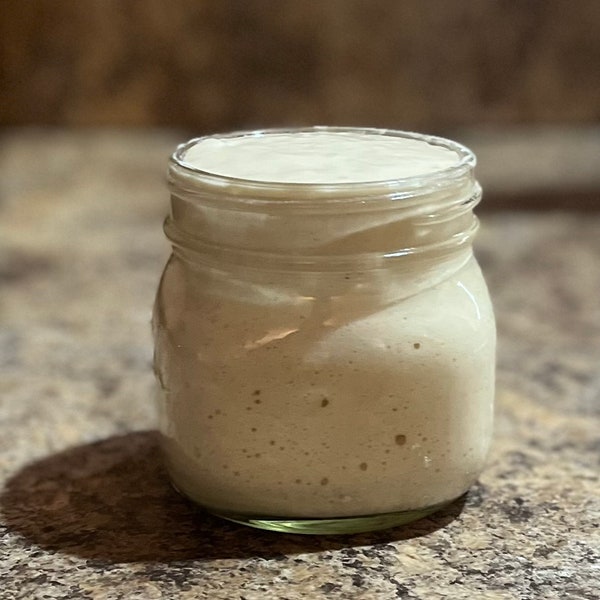 Sourdough Starter-Active