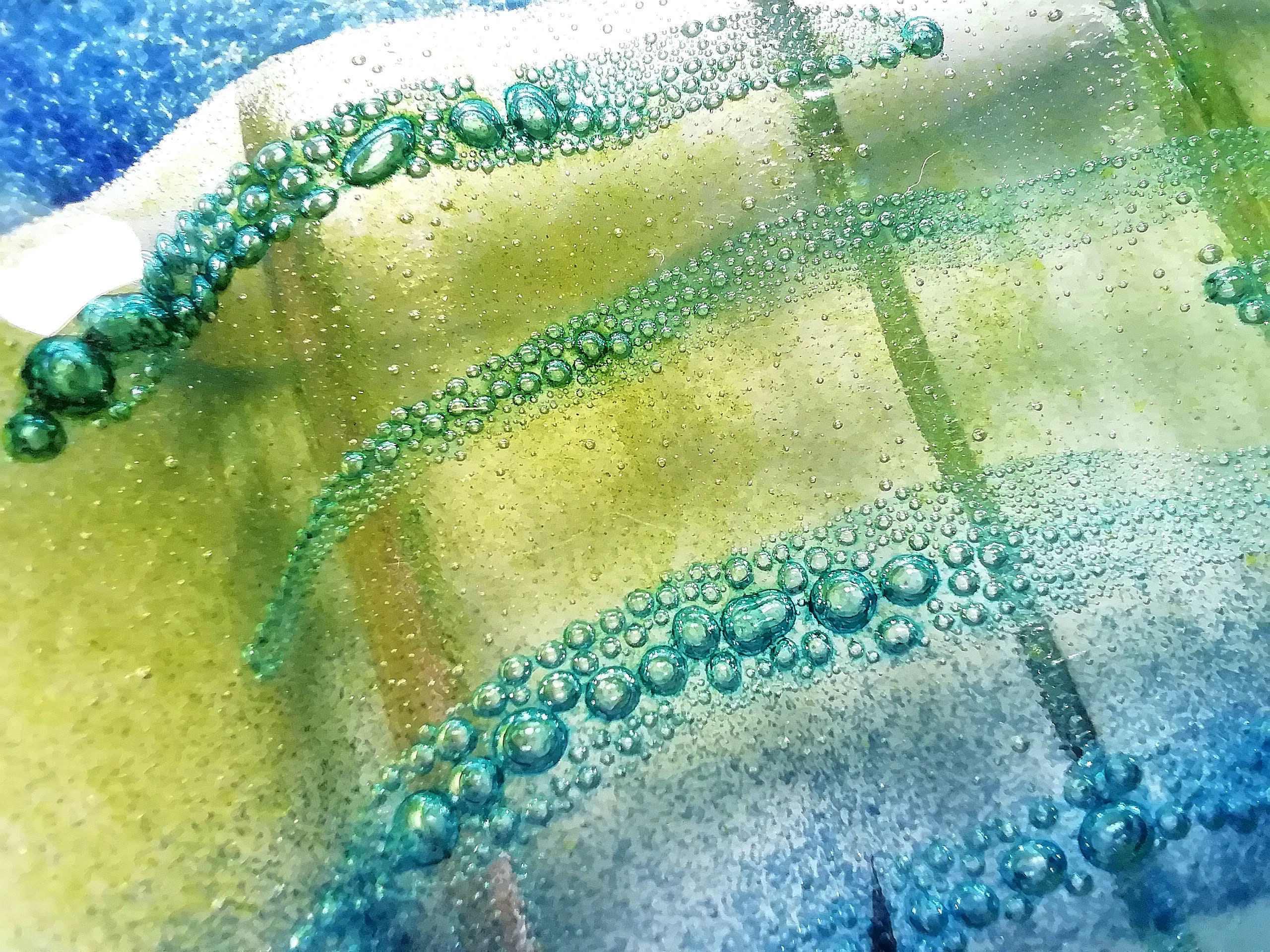 Fishy Soap Dish Bar Soap Holder Seascape Soap Dish Fused Etsy UK