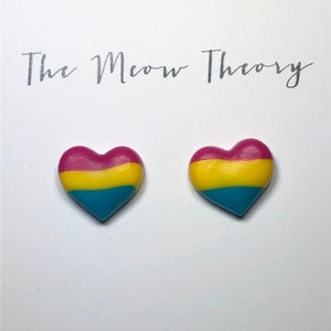 Pansexual pride flag heart stud earrings