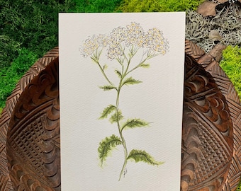 Yarrow art print, watercolour botanical series by art soap life, made in Canada