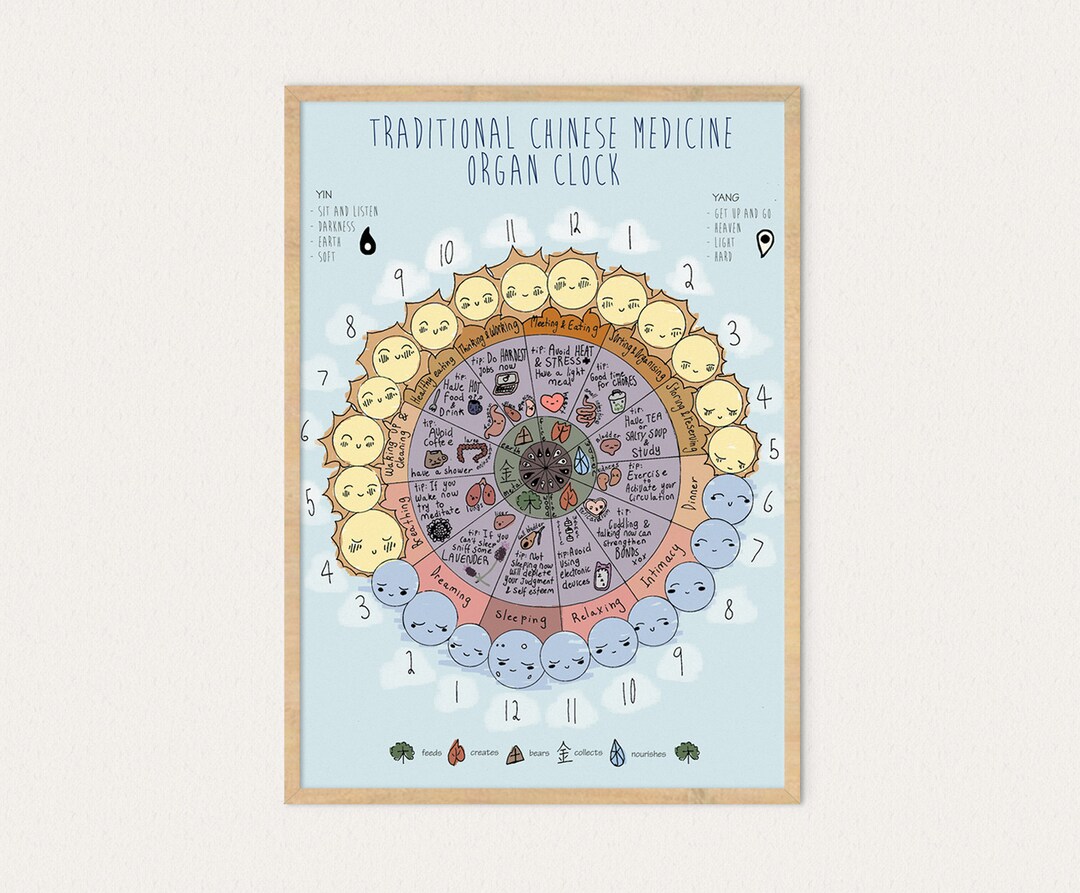TCM, Organ Clock, Chinese Medicine, Infographic, Poster, Art Print