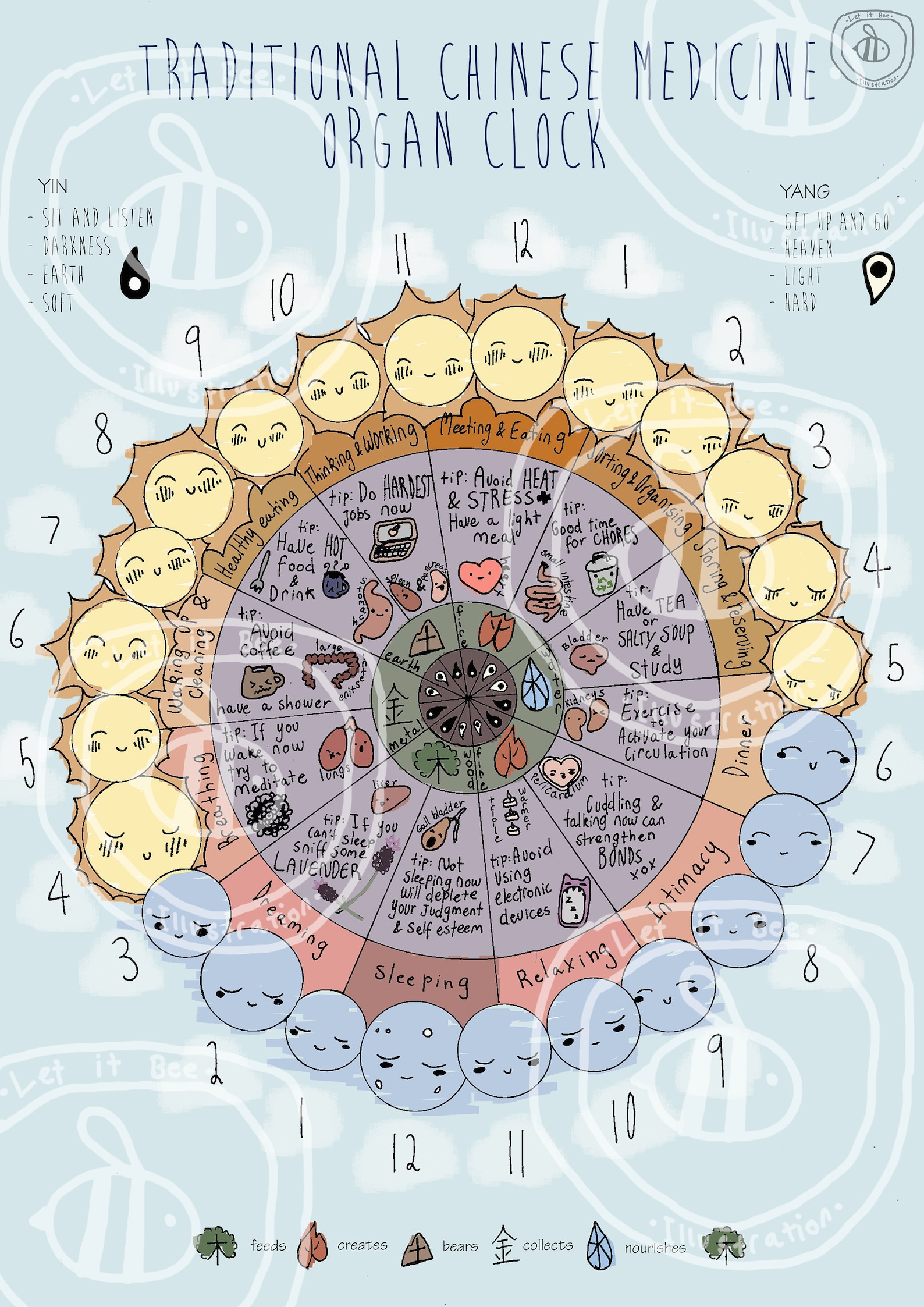 TCM, Organ Clock, Chinese Medicine, Infographic, Poster, Art Print