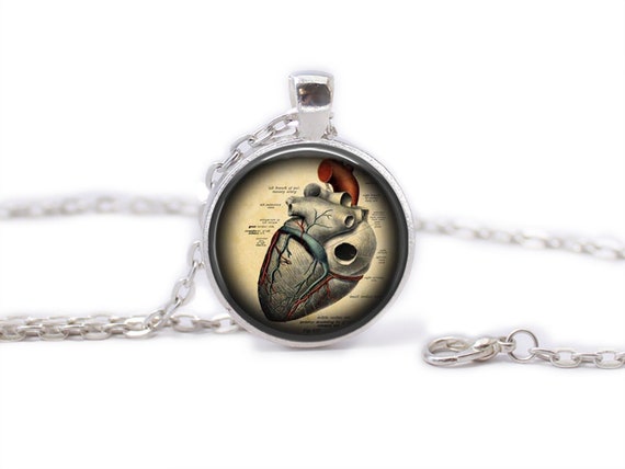 Anatomical Human Heart Necklace Anatomical Heart Pendant Heart Jewelry  Symbolic Gift Love Gift St Valentine Gift for Lover Gift for Her Him - Etsy