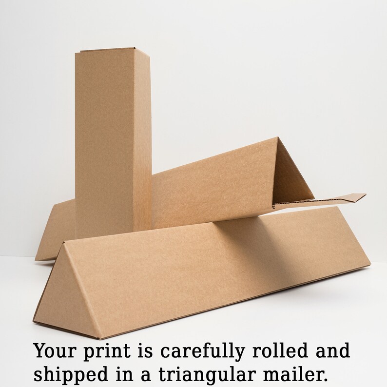 May include: A triangular cardboard mailer with a brown cardboard tube inside. The mailer is designed to protect rolled prints during shipping.