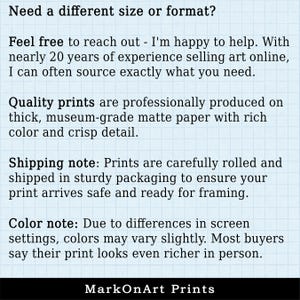 General information about prints and the purchase process of prints in my shop from contacting me about other options to color expectations.