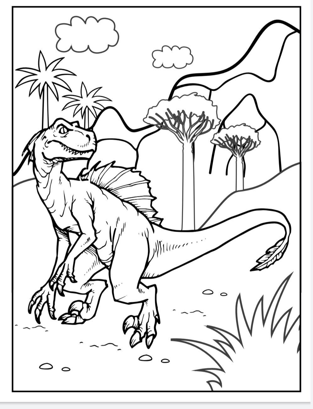 Dinosaur coloring book 40 pages | Etsy
