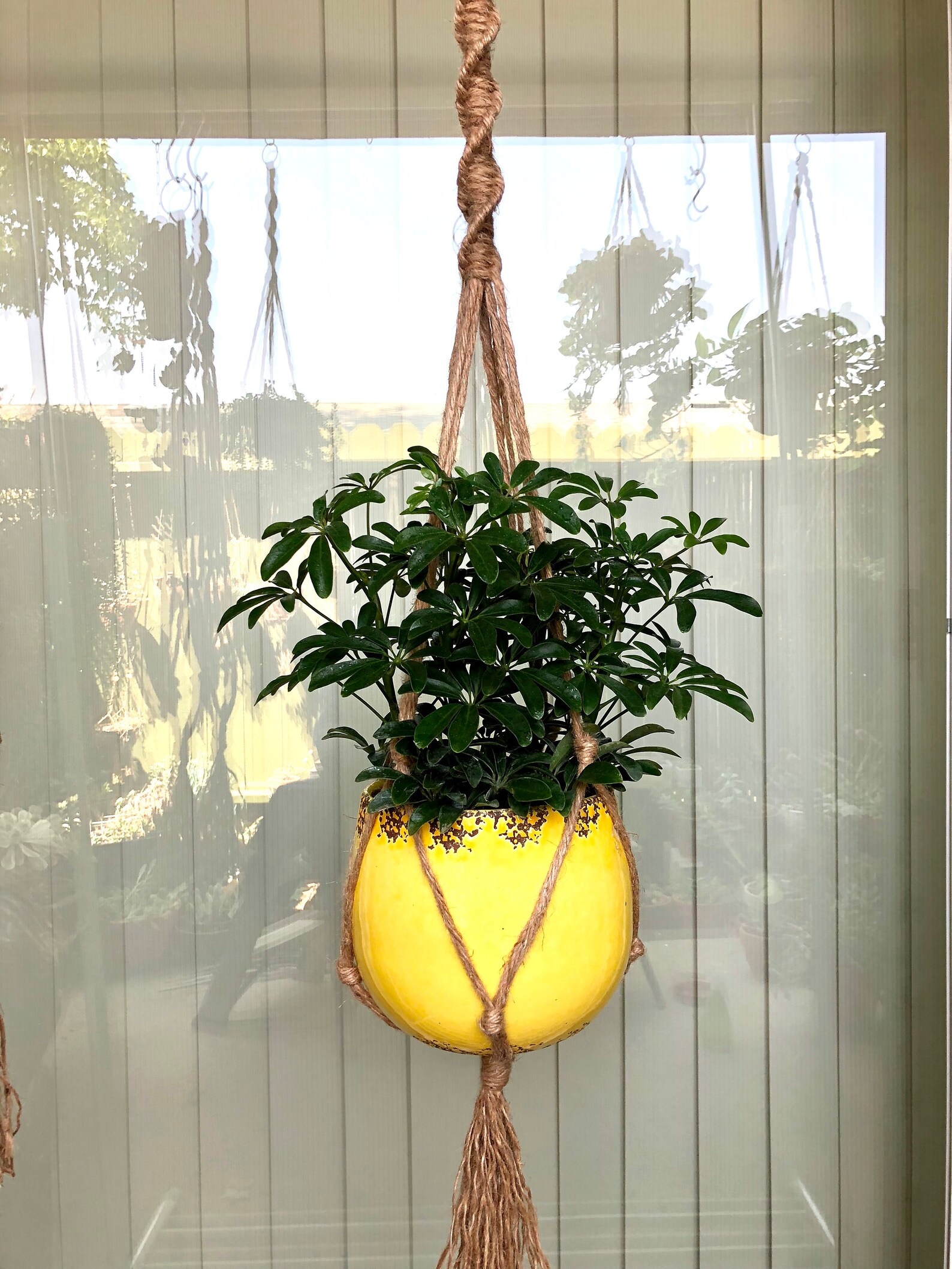 Jute Macrame Plant Hanger / Twisted Plant Hanger / Jute Plant Etsy