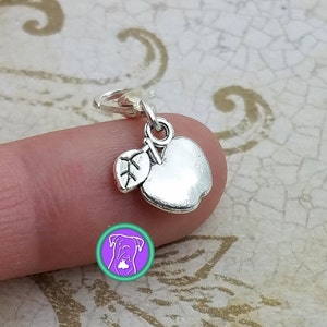 May include: Silver charm featuring a silver apple and leaf design. The charm has a lobster clasp.