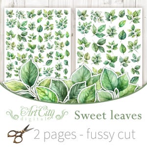 Op de afbeelding: Twee vellen stickers met bladeren in aquarel-stijl in verschillende groentinten. De stickers bevatten individuele bladeren en takjes, met een paar grotere bladeren aan de onderkant. De tekst "Sweet leaves" en "2 pages - fussy cut" zijn ook zichtbaar.