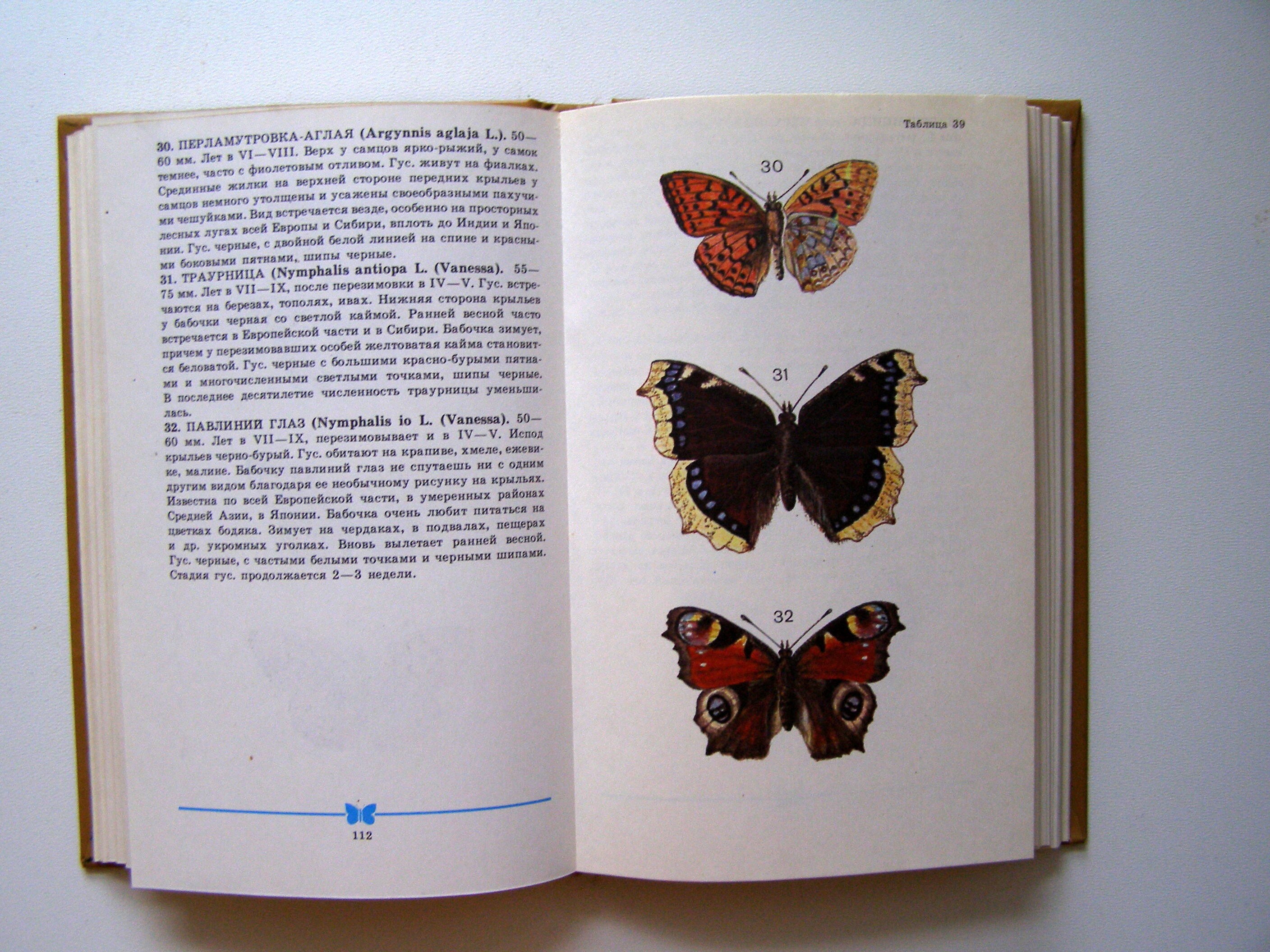 Vintage book with butterfly illustrations Vintage Illustrated Etsy