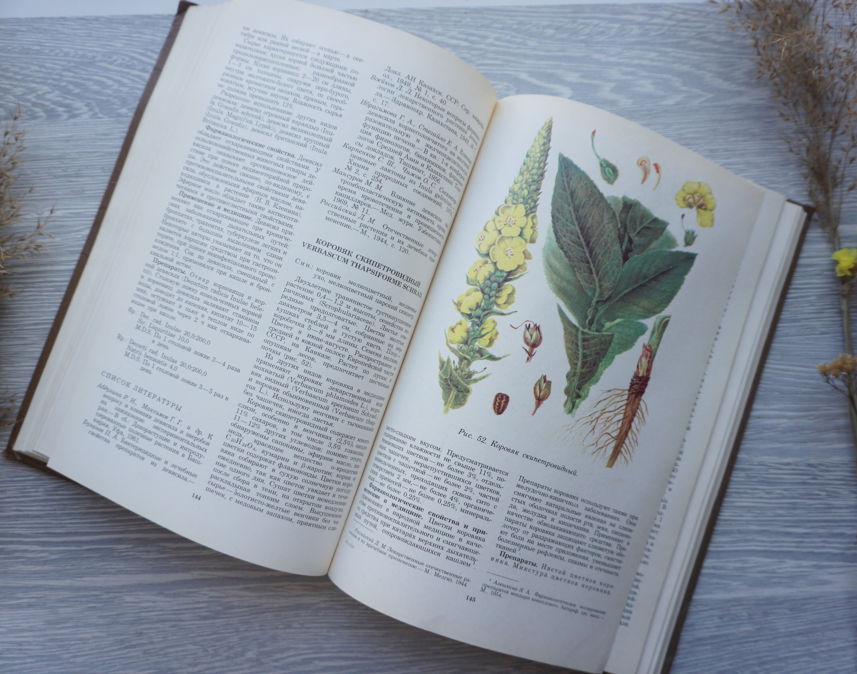 Book botany flowers Vintage Illustrated Botanical Book guide Etsy