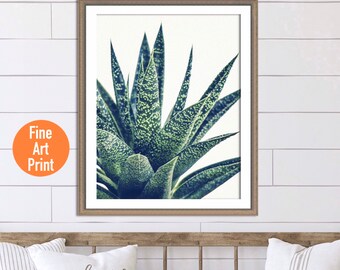 Cactus Wall Art Succulent Botanical Print