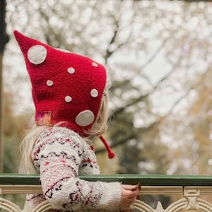 Mushroom pixie hat, Red warm winter gnome wool hat lined with fleece for boy or girl. Toddler or adult pixie hat. Kids toadstool hat.