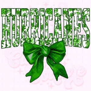 Furacões Png, Toile Verde Png, Sublimação de Furacões, Camisa de Furacões Png, DTF, DTG, Mascote de Furacões Png, Furacões Verdes Png #53