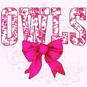 Owls Png, Pink Toile Png, Owls Sublimation, Game Day Png, Owls Shirt Png, DTF, DTG, Owls Mascot Png, Pink Owls Png #13