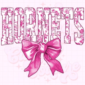 Hornets Png, Pink Toile Png, Hornets Sublimation, Game Day Png, Hornets Shirt Png, DTF, DTG, Hornets Mascot Png, Pink Hornets Png #31