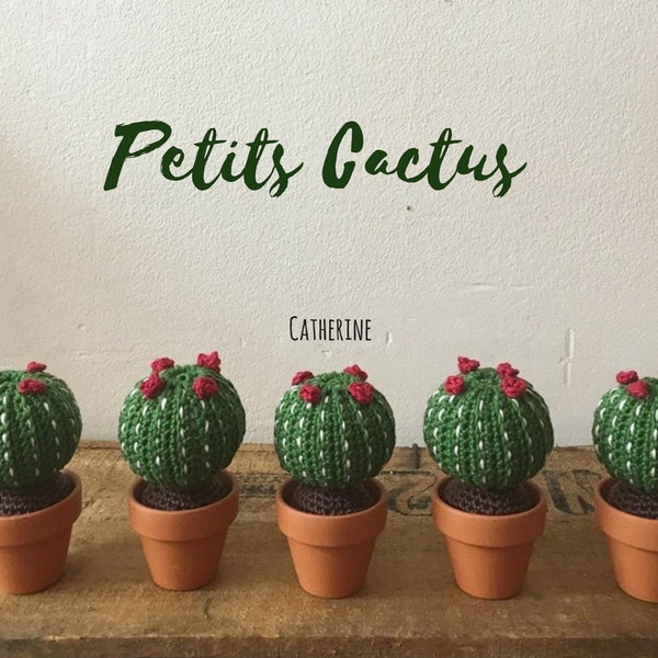 Petit Cactus en Crochet