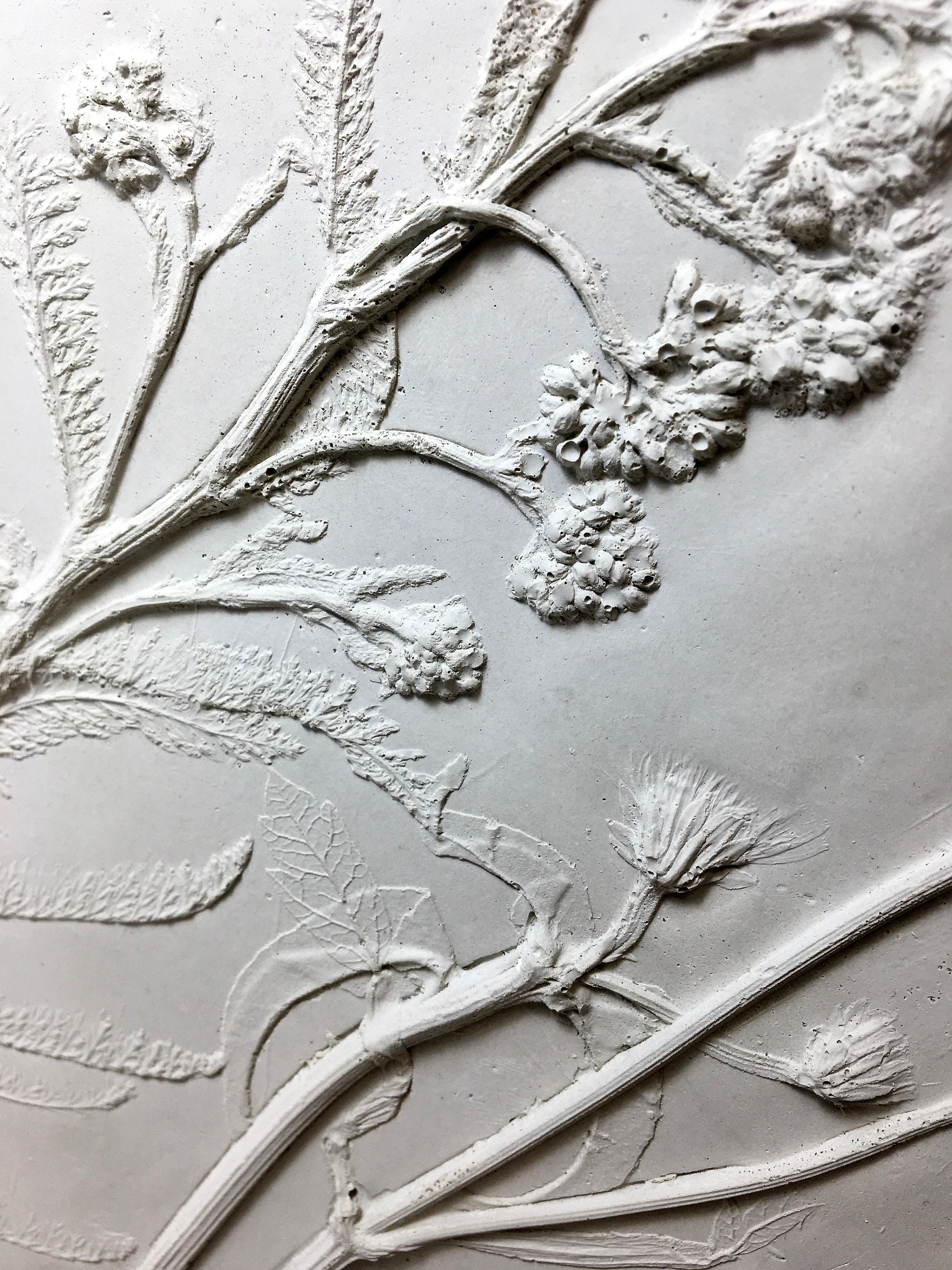 Basrelief Botanical Casting in Concrete Beautiful Nature Etsy