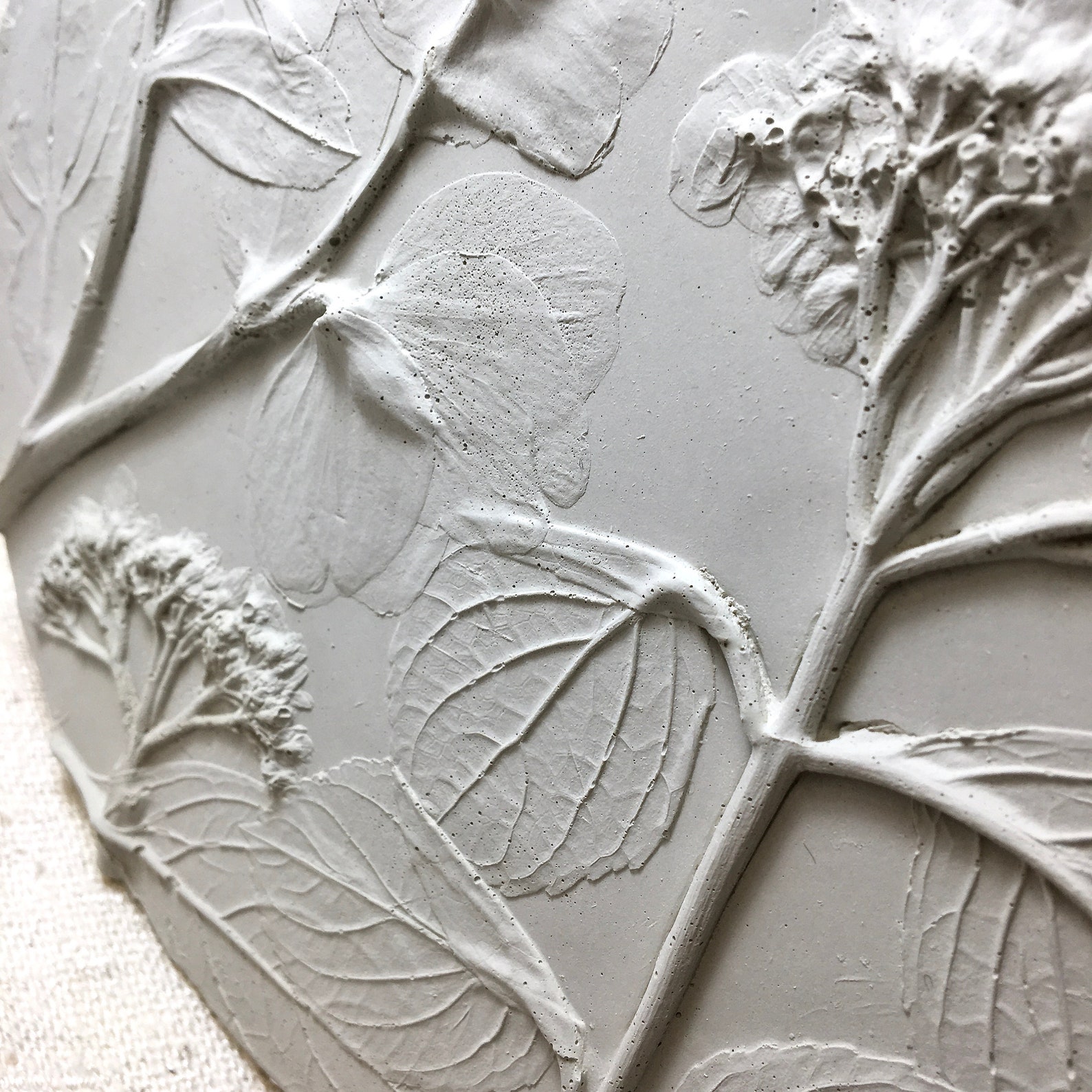 Basrelief Botanical Casting in Concrete Beautiful Nature Etsy