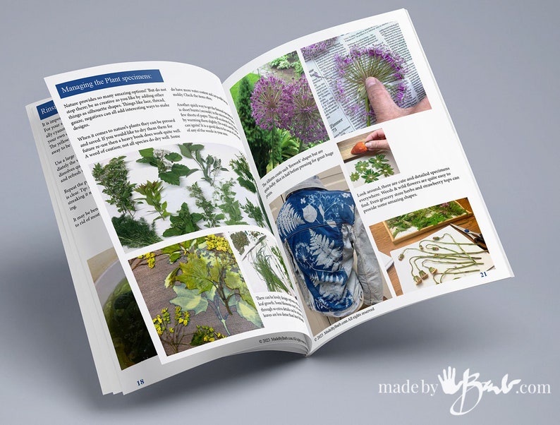 May include: Open book with the title "Managing the Plant Specimens" and images of pressed plants and flowers. The book shows how to use natural materials for crafting and art.