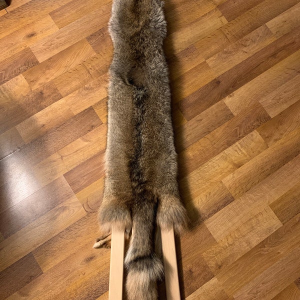 Coyote Pelt Etsy