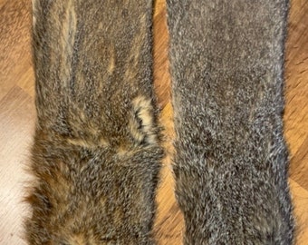 Woodchuck pelt large