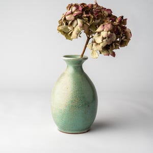 May include: A ceramic vase with a seafoam green glaze holds a dried hydrangea. The vase has a rounded body and a narrow neck. The hydrangea has dried, with petals in shades of beige and mauve.