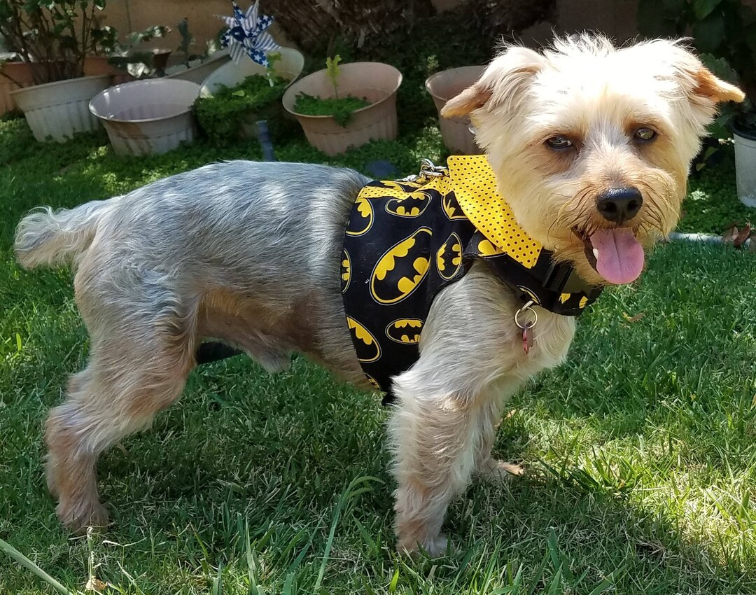 Boy Dog Harness Vest Etsy