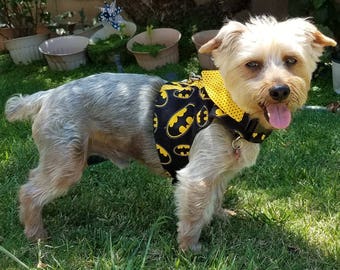 Boy Dog Harness Vest