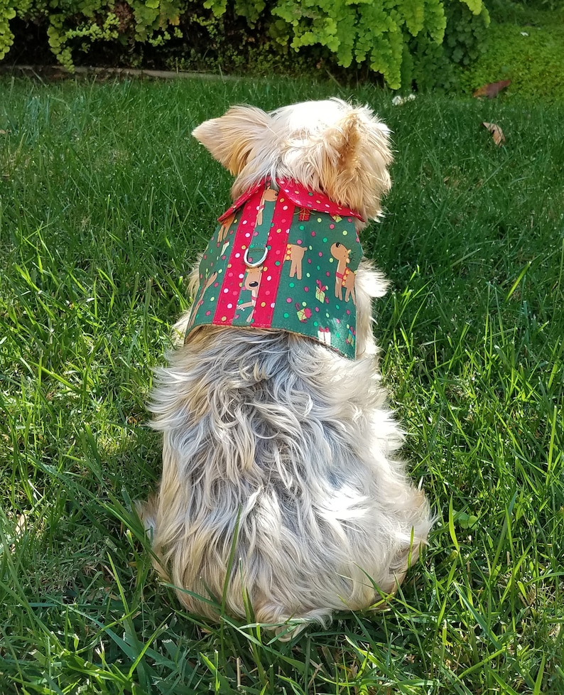 Boy Dog Harness Vest Etsy