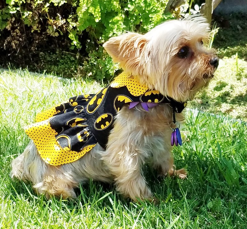 Girl Dog Harness Dress With Collar Options Etsy