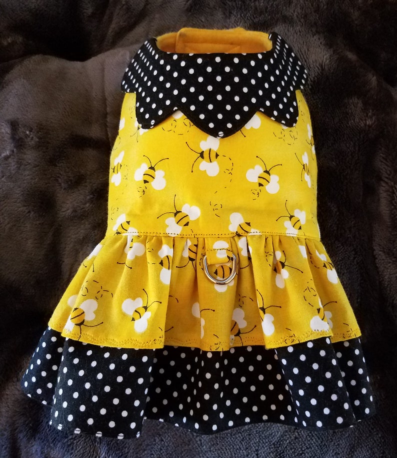 Dogs Collared Dress