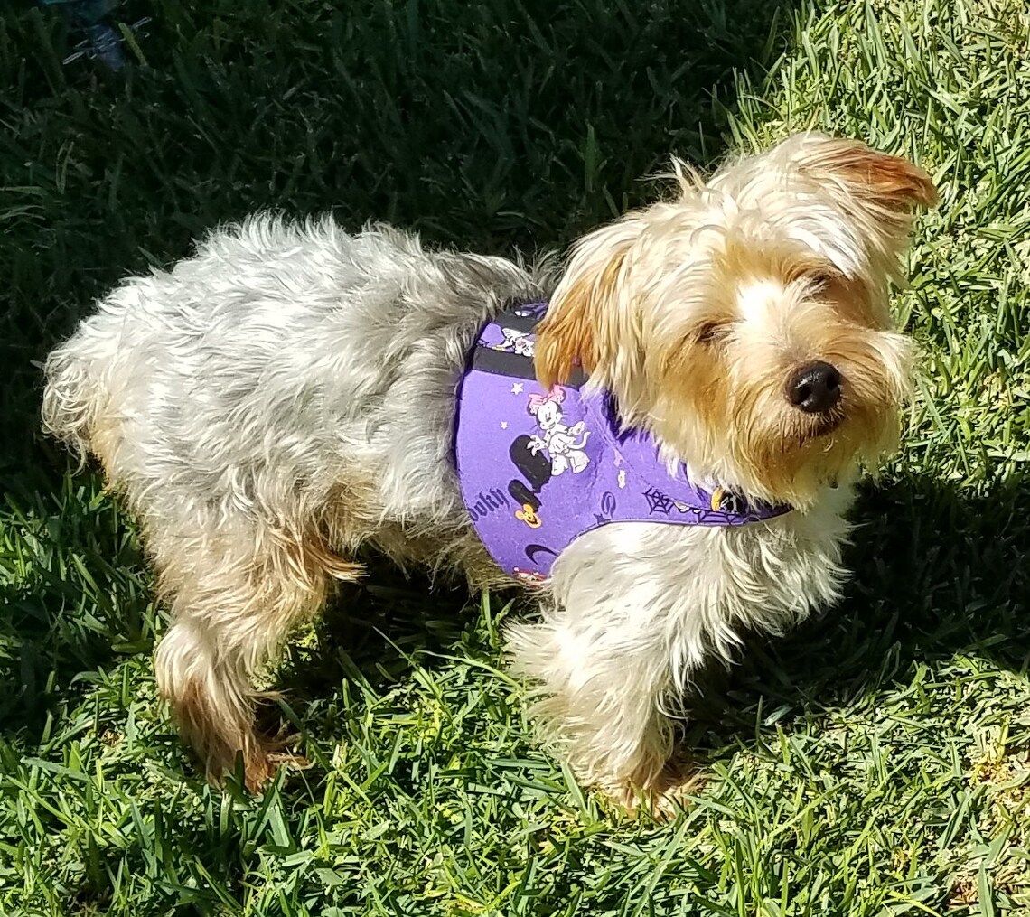 Boy Dog Harness Vest Etsy