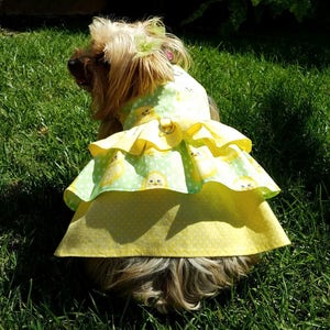 Girl Dog Dress/Harness