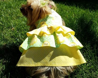 Girl Dog Dress/Harness