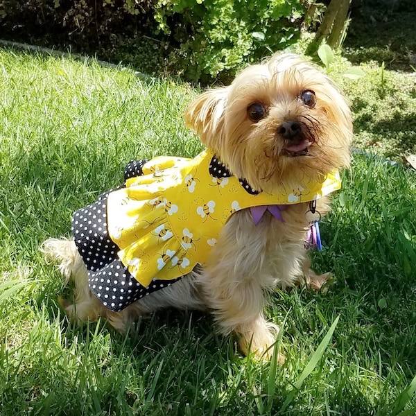 Couture Dog Dress Etsy