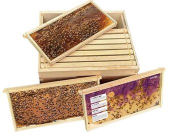 Beekeeping Frame Posters