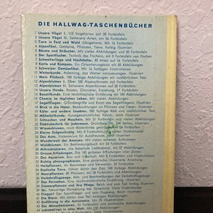 Vintage Siegel Fliegen To Glide Book German