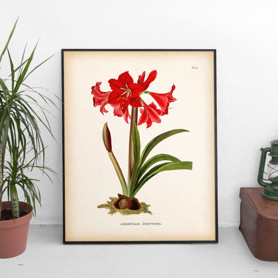 Botanical Wall Art Flower Printable Home Image 0