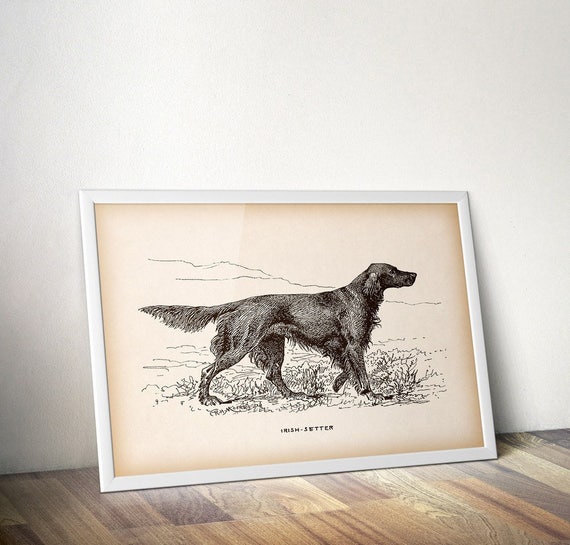 Vintage animal print Dog print Irish setter Dog art Dog Etsy