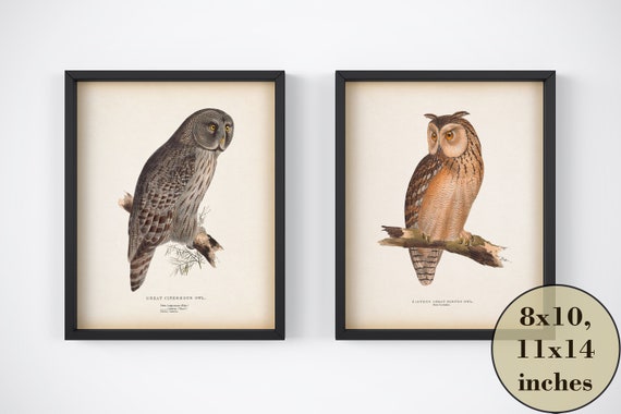 Owl Print Bird Printable Set Set of 2 Prints Instant | Etsy
