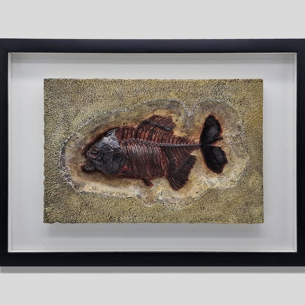 Piranha fossil. Skeleton of an ancient predatory toothed fish. Framed diorama. Free Shipping from Pennsylvania!