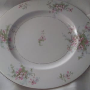 vintage Theodore Haviland large dinner plate, &quot;Apple Blossom&quot;.