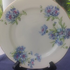 vintage Hammersley Bone China Dessert Teller,&quot; Kentish Born Flowers&quot; auf der Rückseite geschrieben,&quot;